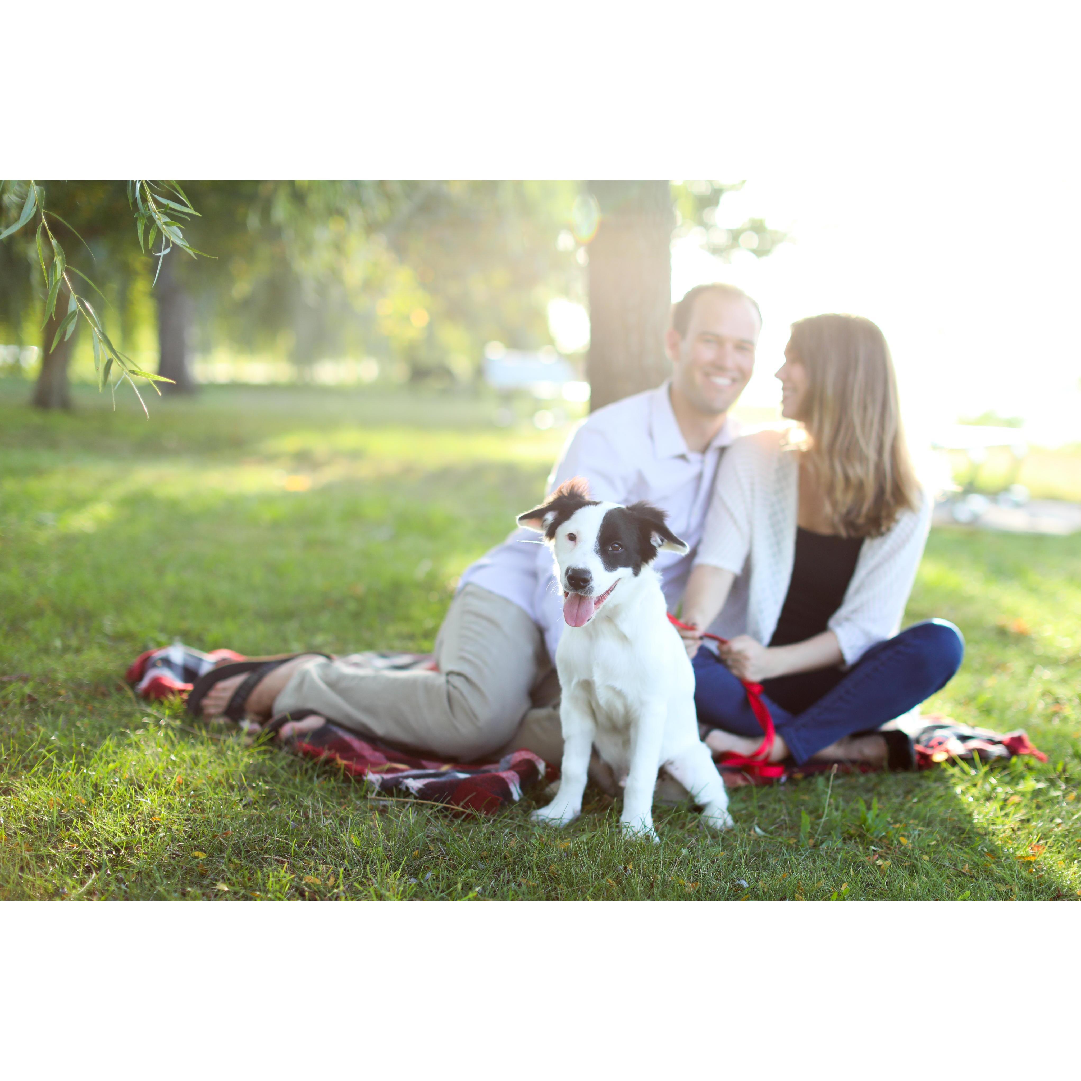The real star of the show; engagement photo session, 2017