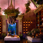 The Ritz Carlton Reserve SPA Botánico