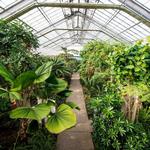 Matthaei Botanical Gardens