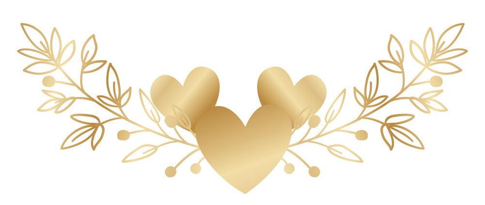 The Wedding Website of Jessie Suren and David Heebner