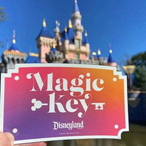 Disneyland Annual Passes