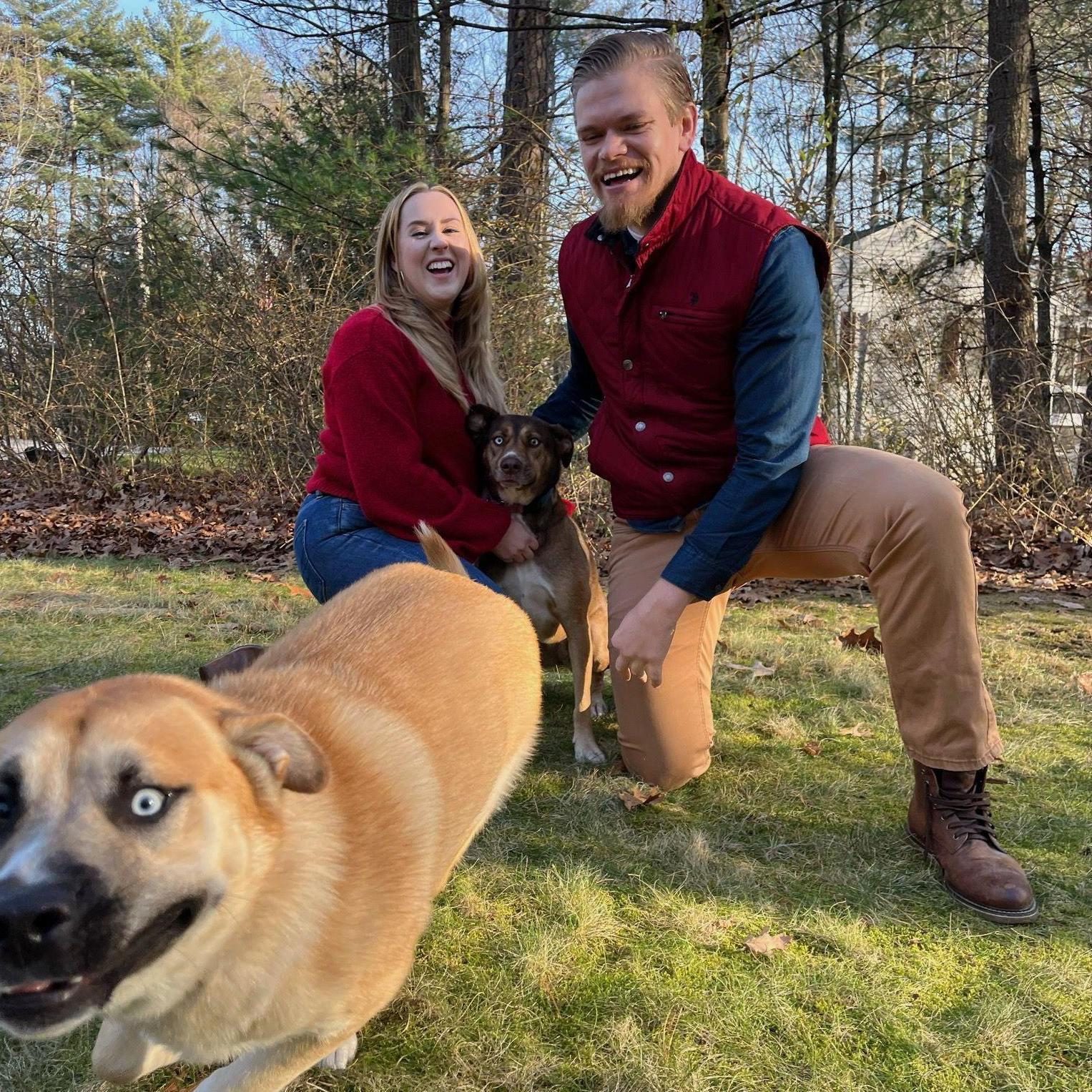 Christmas card shenanigans featuring Teddy