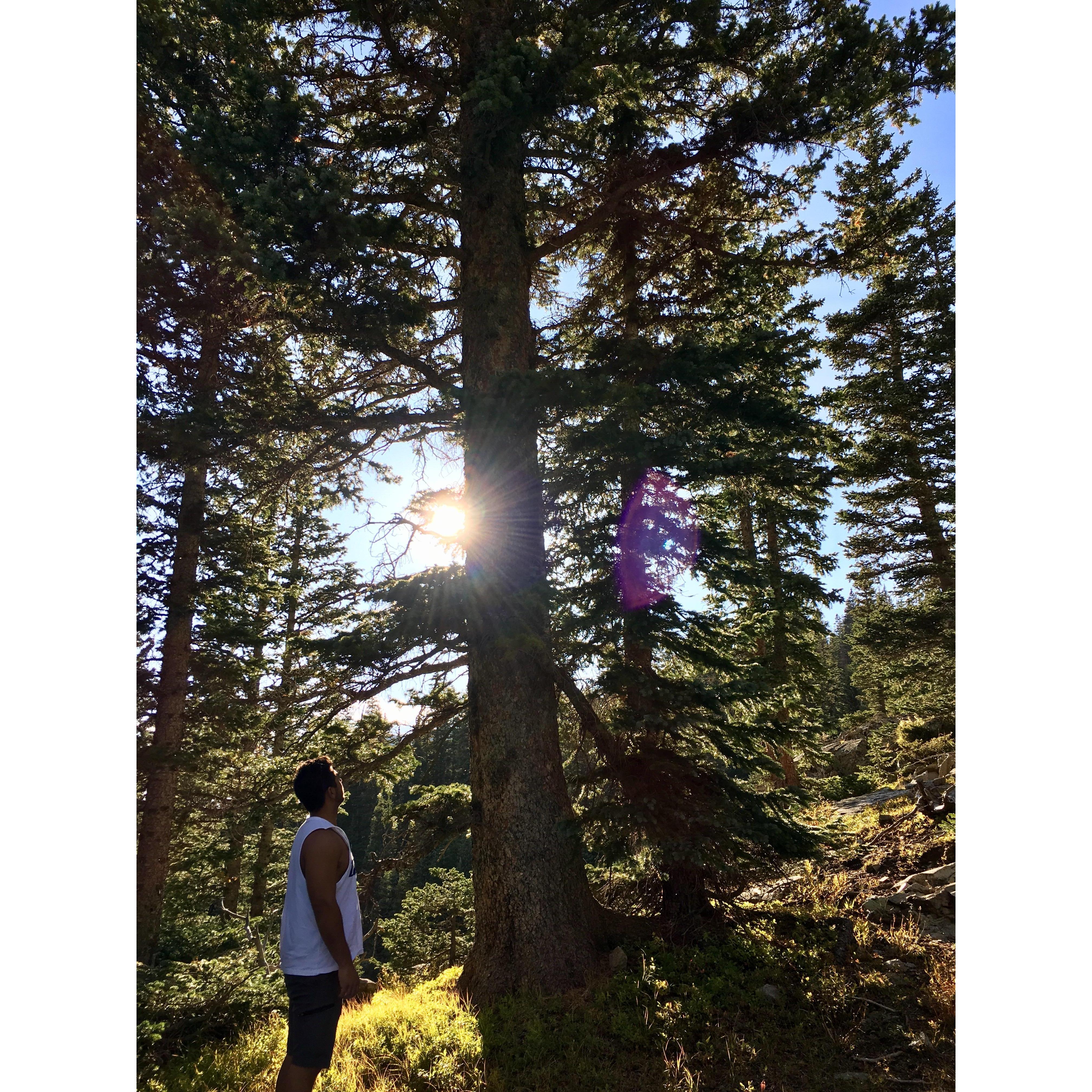 Colorado backpacking trip- 2017