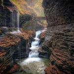 Watkins Glen State Park