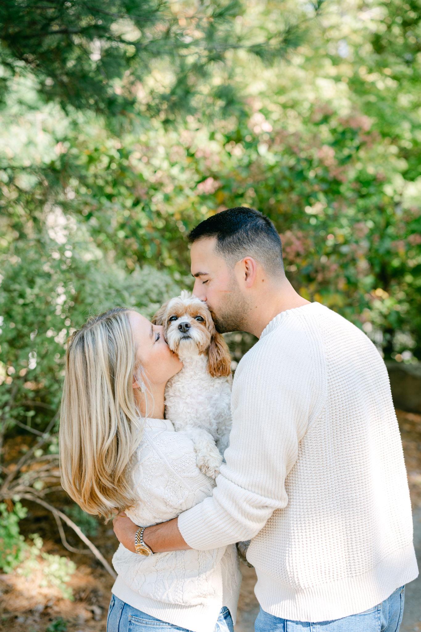 e8fc2d28-cca0-4007-83c5-6362a7caa242