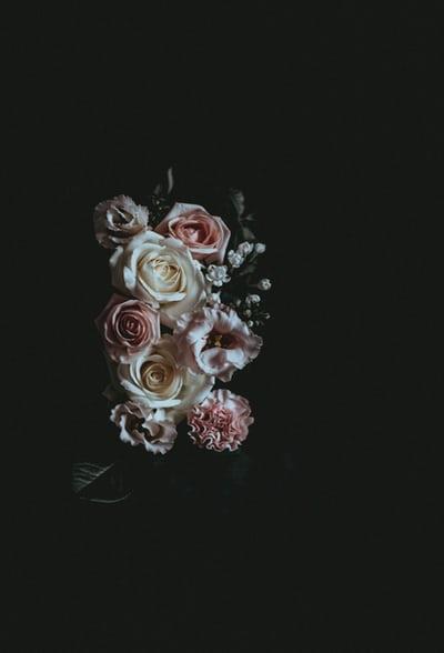 The Wedding Website of Whitney Lynn Tucker and Said Vâzquez Gil