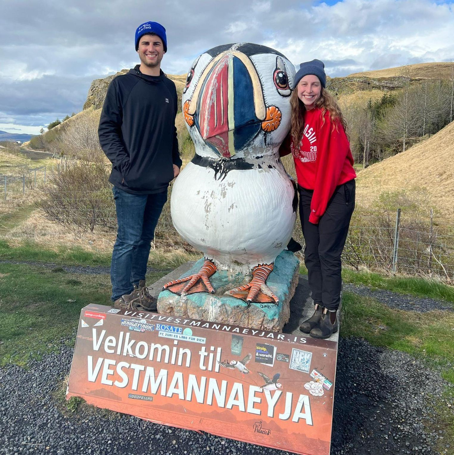 Puffin Statue in Iceland - May 2024