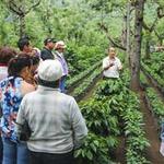 Filadelfia Coffee Resort & Tours