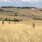 Other Outdoor Activities
