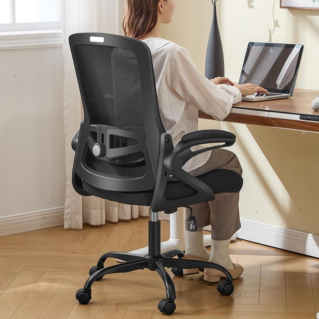 Nexthro Ergonomic Office Chair, Desk Chair with Adjustable Lumbar Support, Breathable Mesh Comfy Computer Chairs with Flip-up Armrests Executive Task Chair for Adults Home Office(Black)