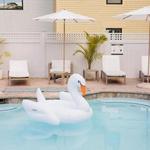 The Hotel Pool