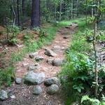 Pitcher Mountain