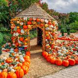 The Dallas Arboretum and Botanical Garden
