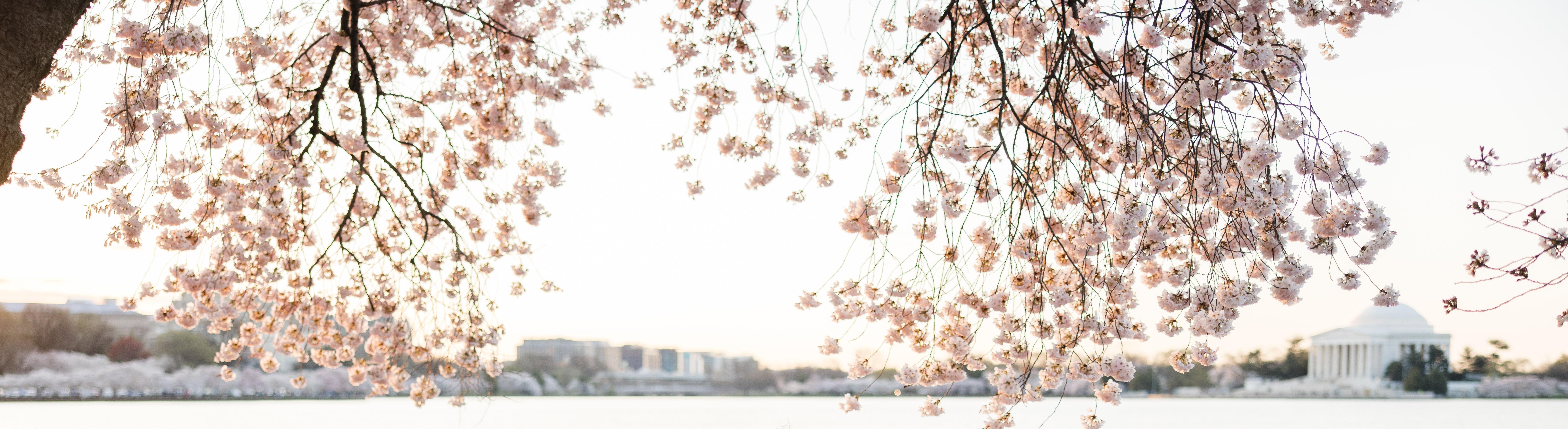 The Wedding Website of Blair Guild and Aaron Hedquist