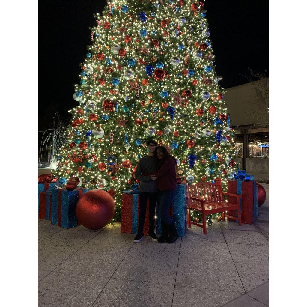 Celebrating our first Christmas!