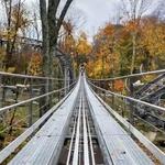 Wilderness Run Alpine Coaster