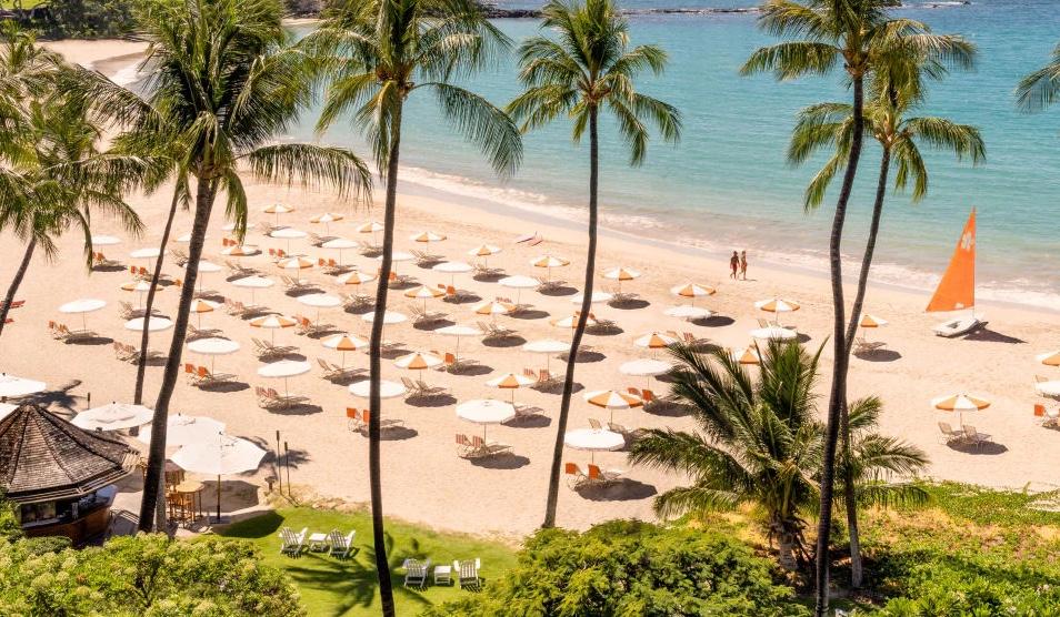 The Wedding Website of Alexandra Levaggi and Callum Fox