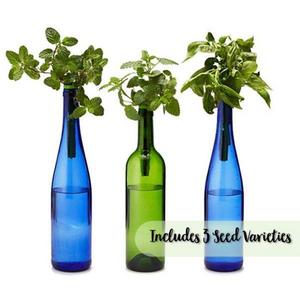 World’s Smallest Garden v2.0