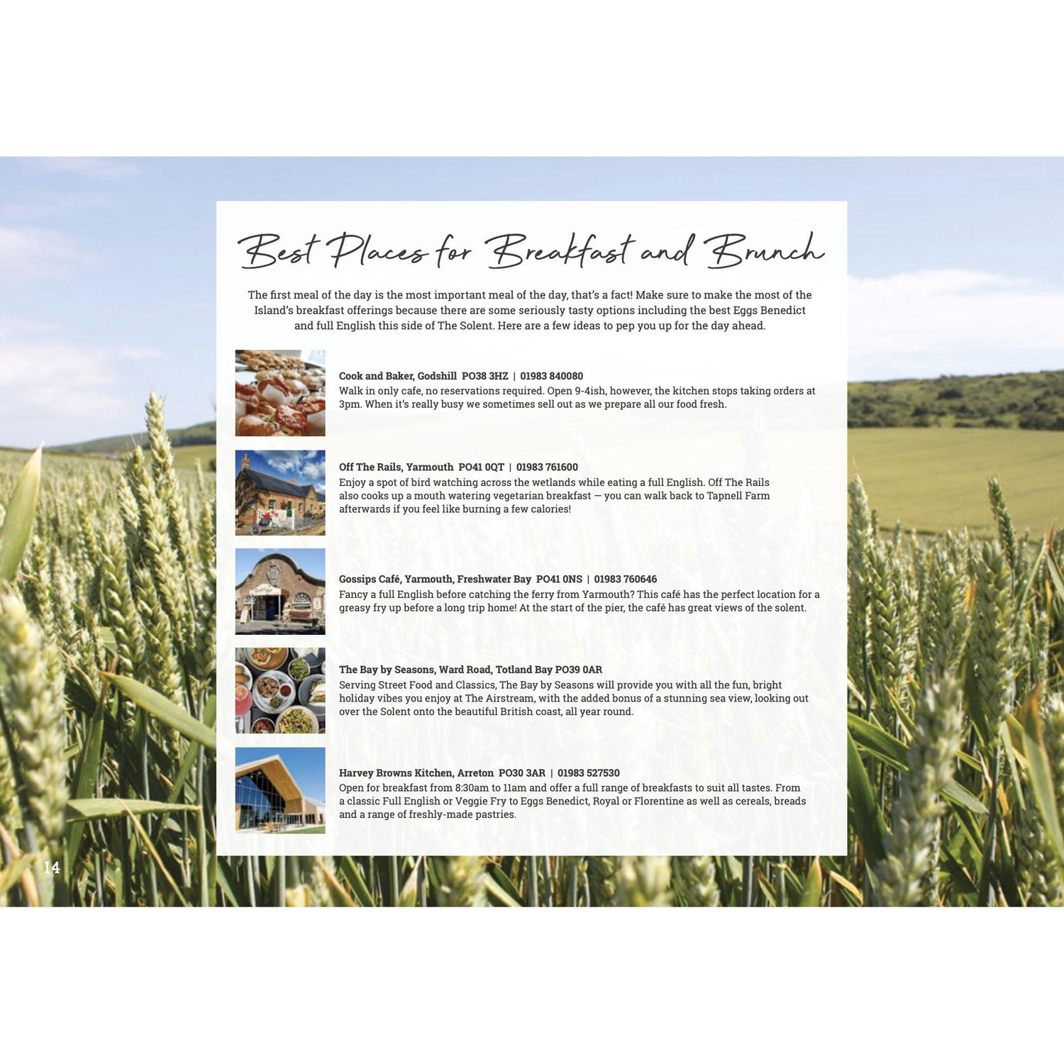 Breakfast and brunch recommendations!