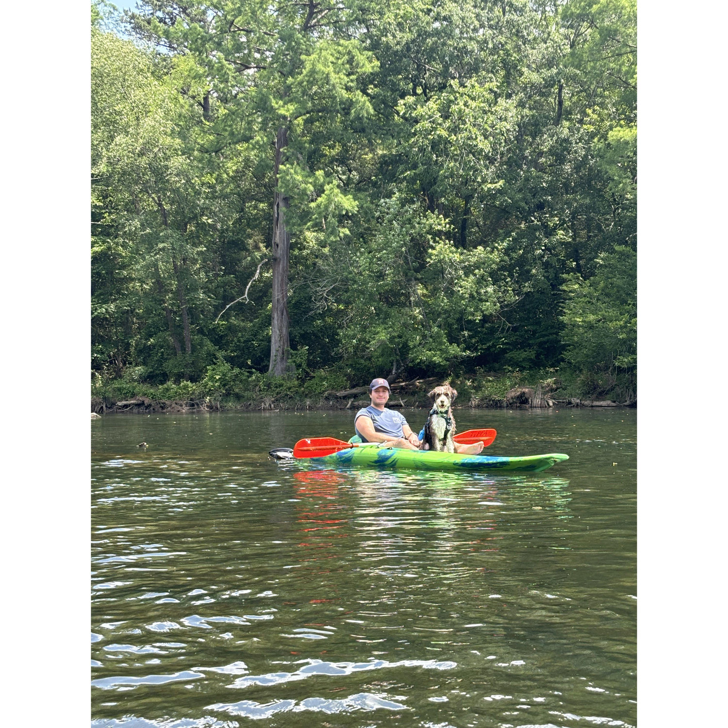 Winston did not enjoy this adventure, lesson learned.