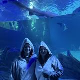 Georgia Aquarium