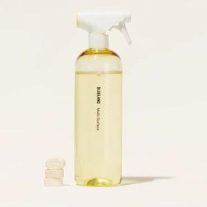 Eco-Friendly Multi-Surface Cleaner Spray | Blueland