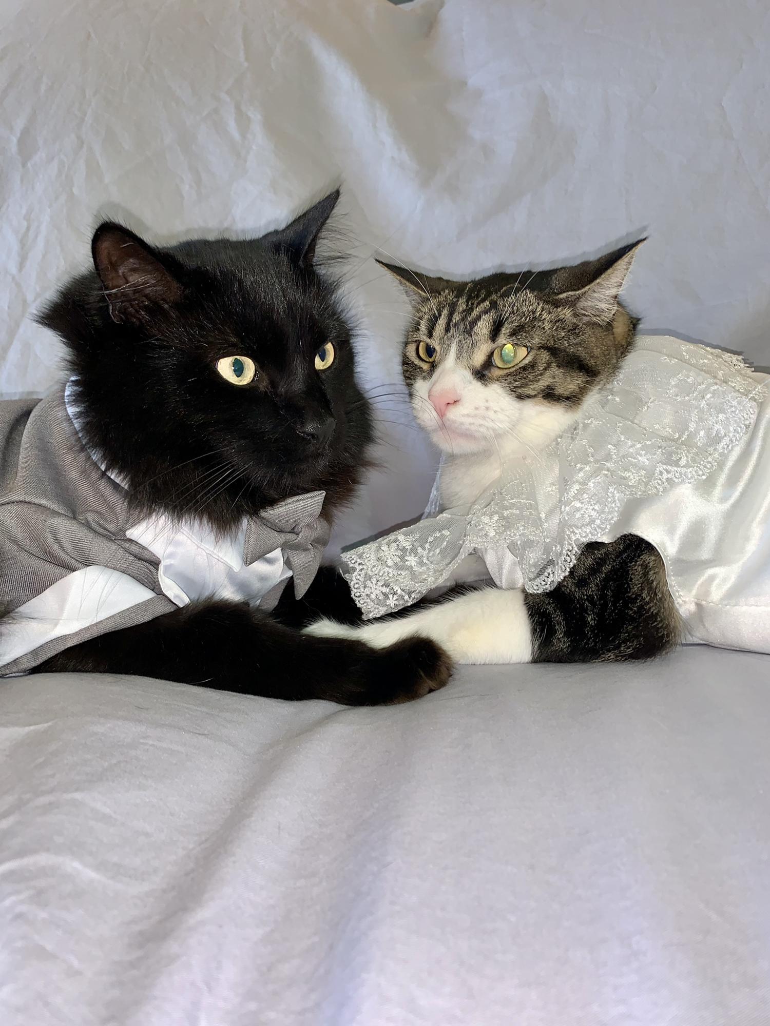 Onyx and Jade