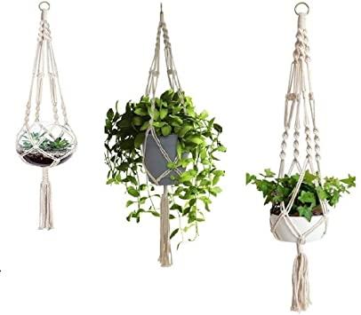 3 Pack Plant Hanger