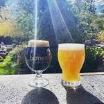 Bonsai Brewing Project