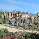 Ganna Walksa Lotusland