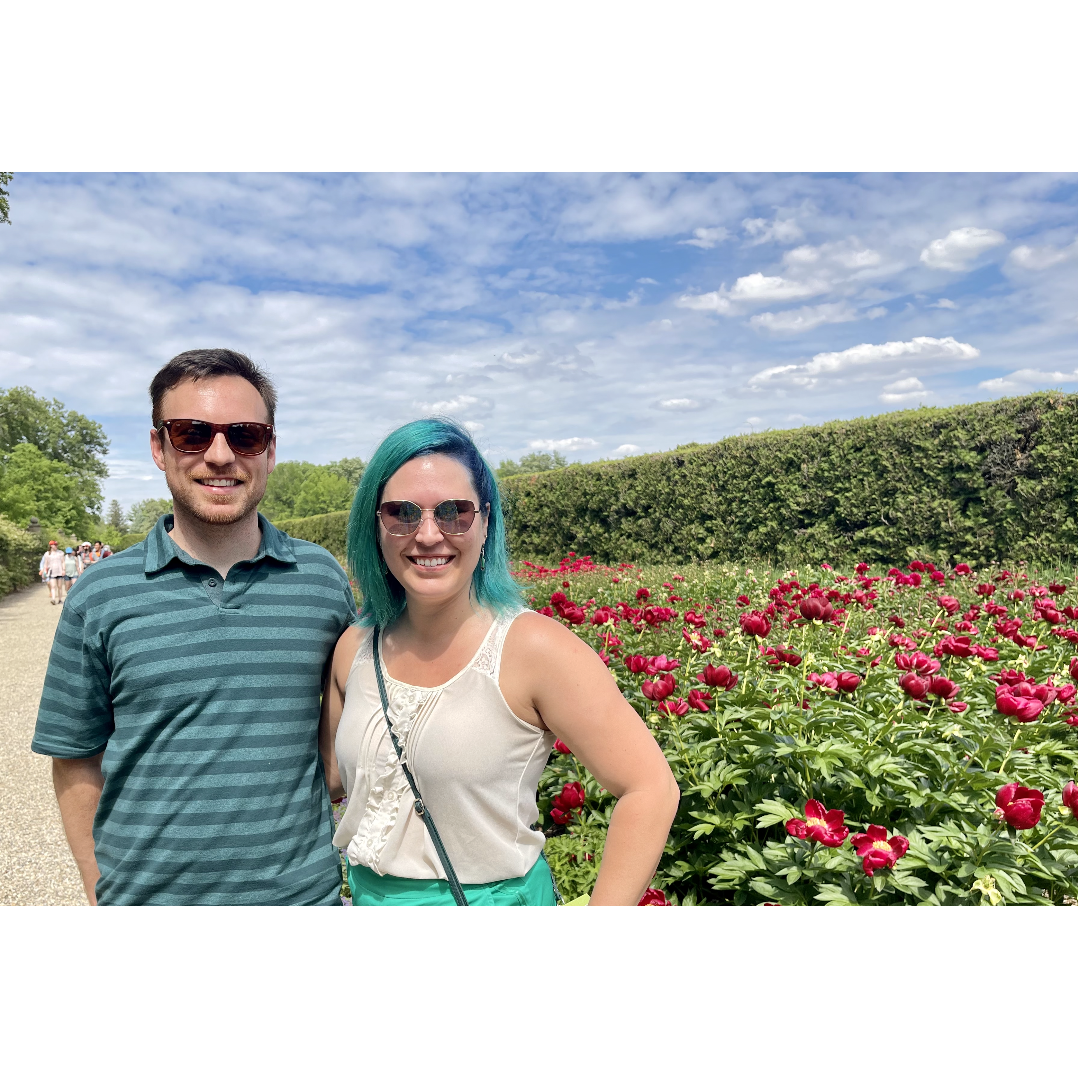 Peony festival, Allerton, Illinois