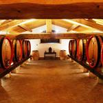 Visit Corbucci Vineyard