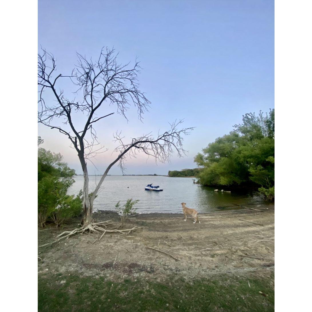 The Lake Dallas Lakeside hike quickly became our favorite little gem!