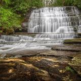 Pisgah National Forest