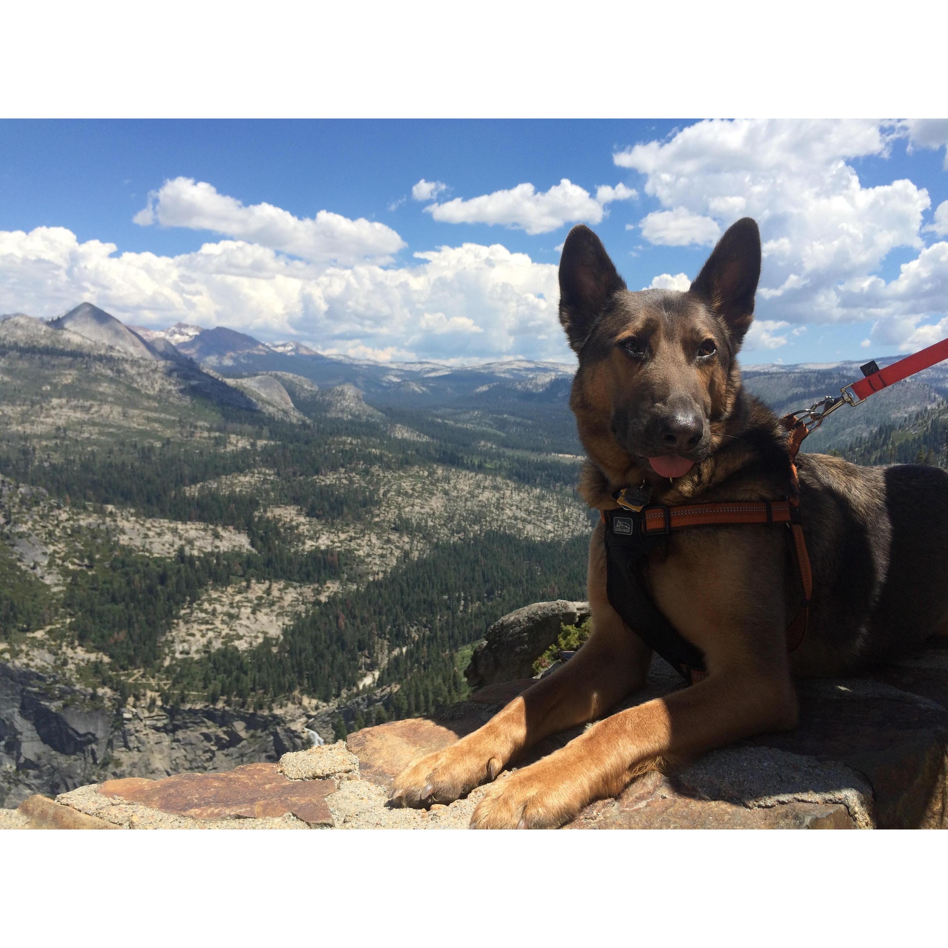 Lila overlooking Yosemite, June 2015.