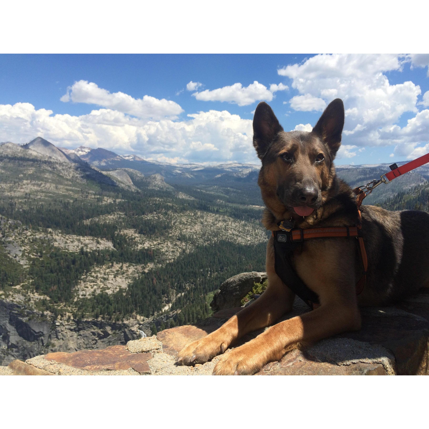 Lila overlooking Yosemite, June 2015.