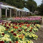 Maymont