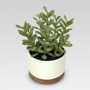 Artificial Plant in White Pot Medium - Threshold™