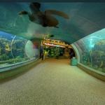 Florida Aquarium