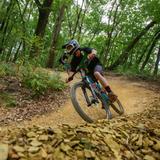 Tannery Knobs Mountain Bike Park