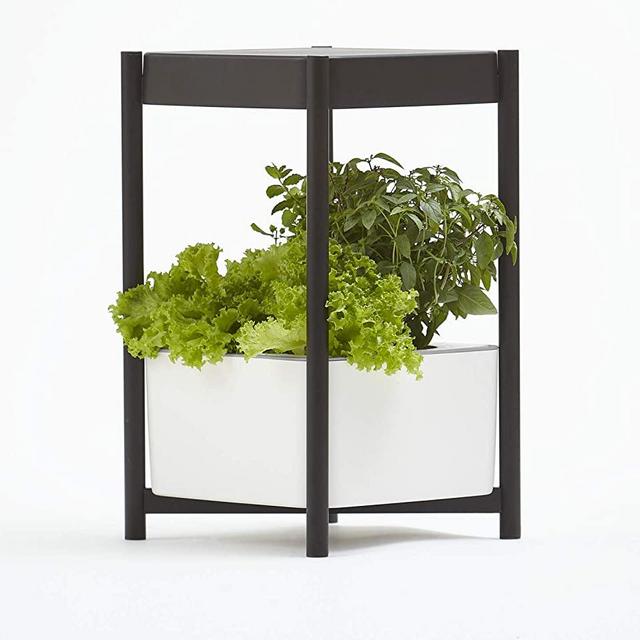 Miracle-Gro Twelve Indoor Growing System, Side Table with LED Grow Light for Year Round Gardening, Planter For Leafy Greens, Herbs & Flowers