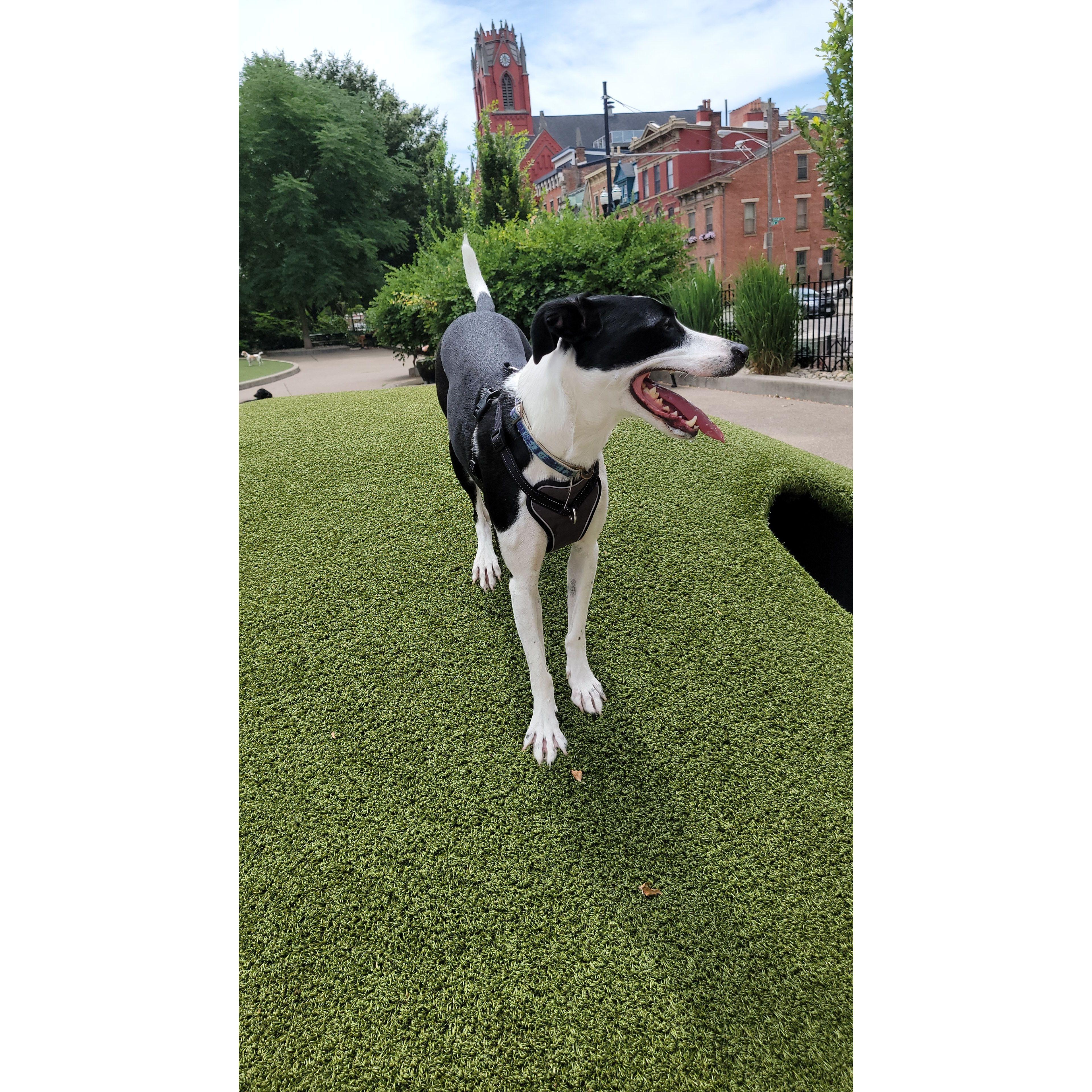 Zola at Washington Park