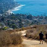 Dartmore Hike