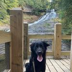 Laughing Whitefish Falls State Park
