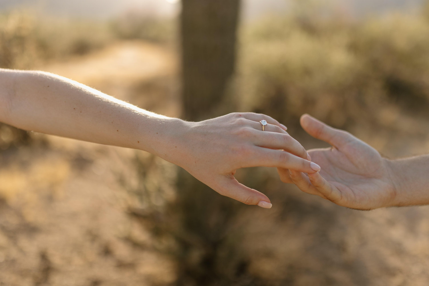 The Wedding Website of Teegan Shultz and Dillon Alexander