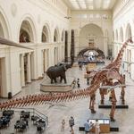 Field Museum