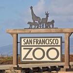 San Francisco Zoo