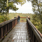 Bernheim Arboretum and Research Forest