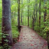 Hemlock Bluffs Nature Preserve