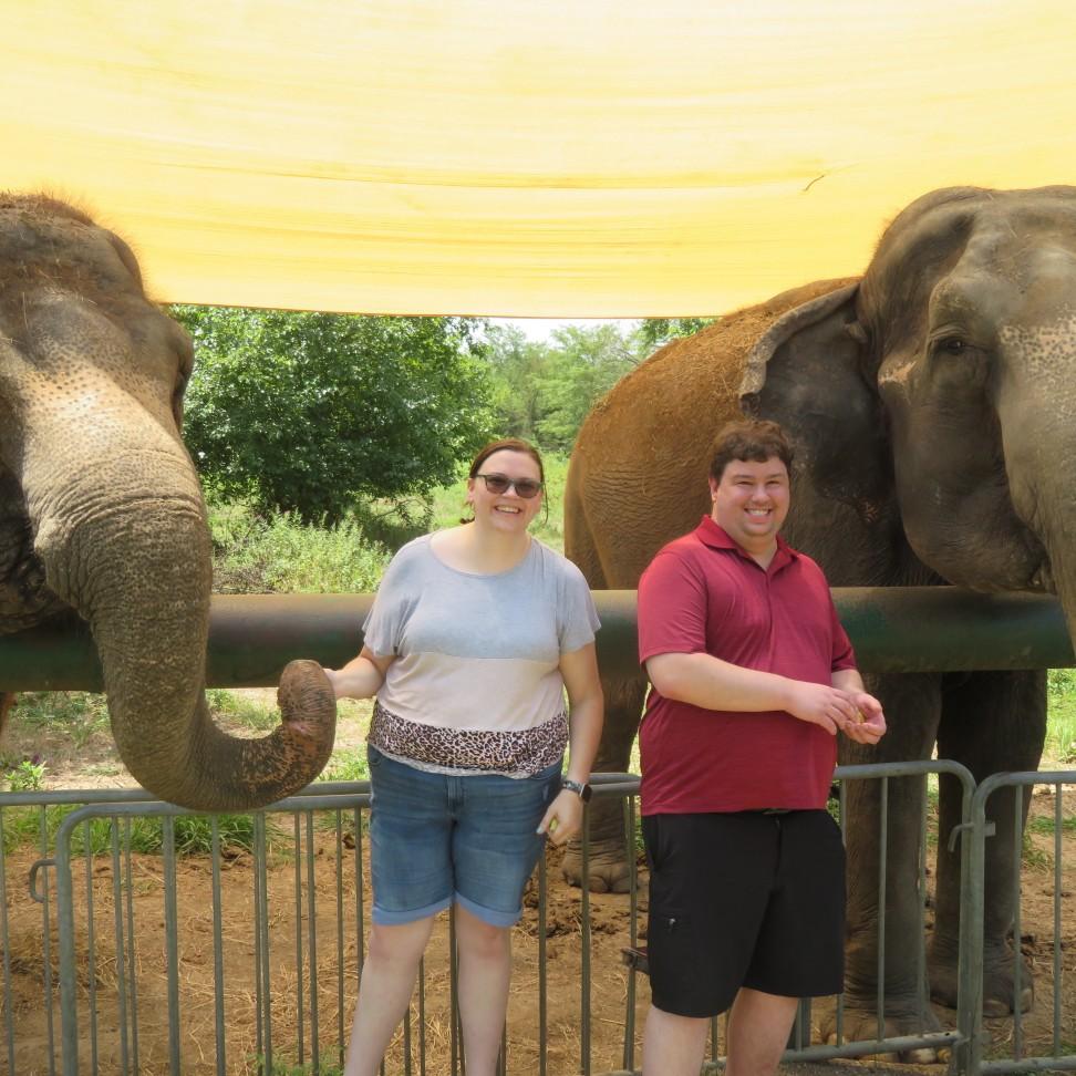 Feeding elephants in Hugo, Oklahoma